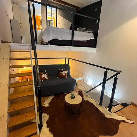 Villa Maison De Nid Cosy Chavanay